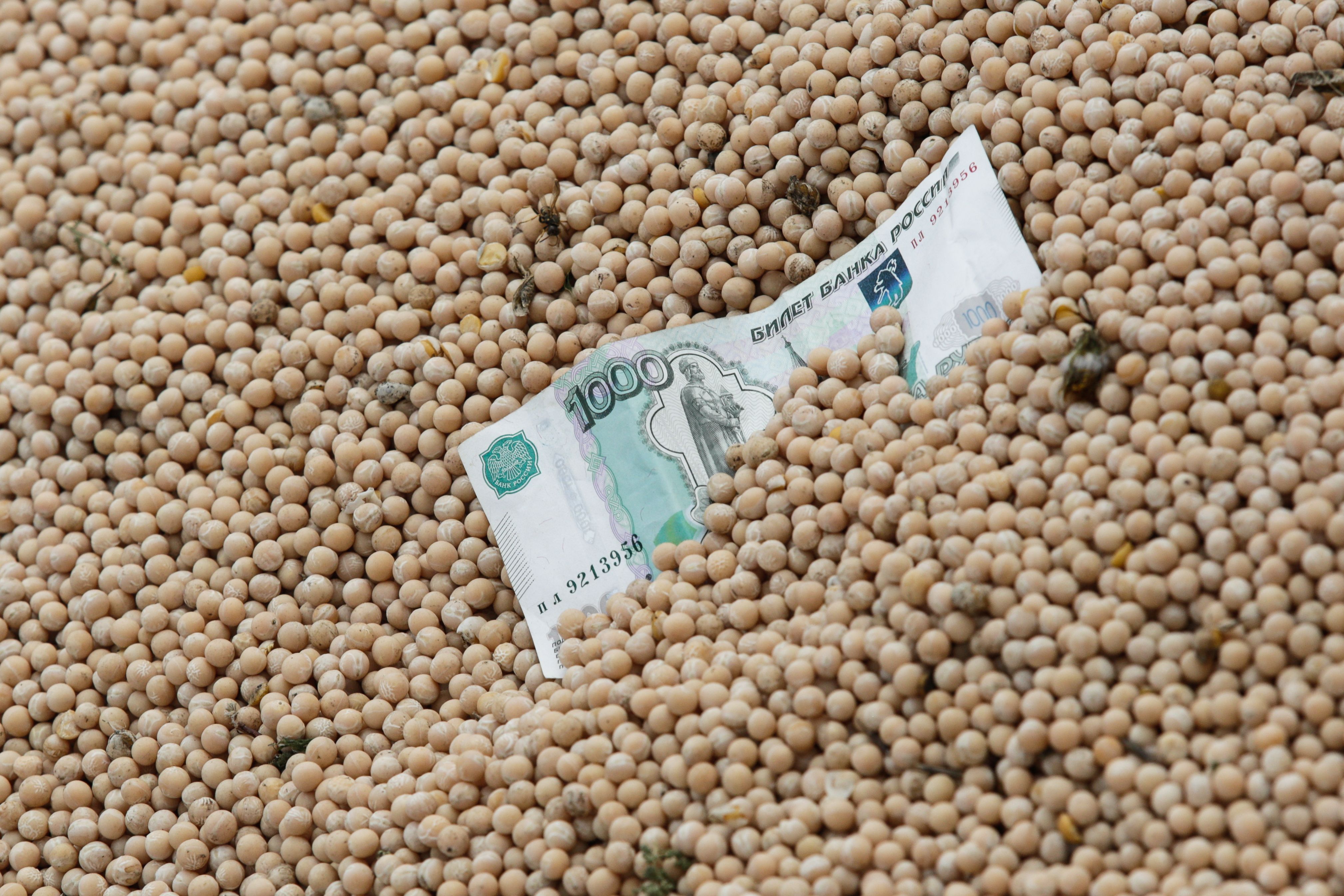Непрозрачность ценообразования на рынке зерна сильно осложняет жизнь агрария