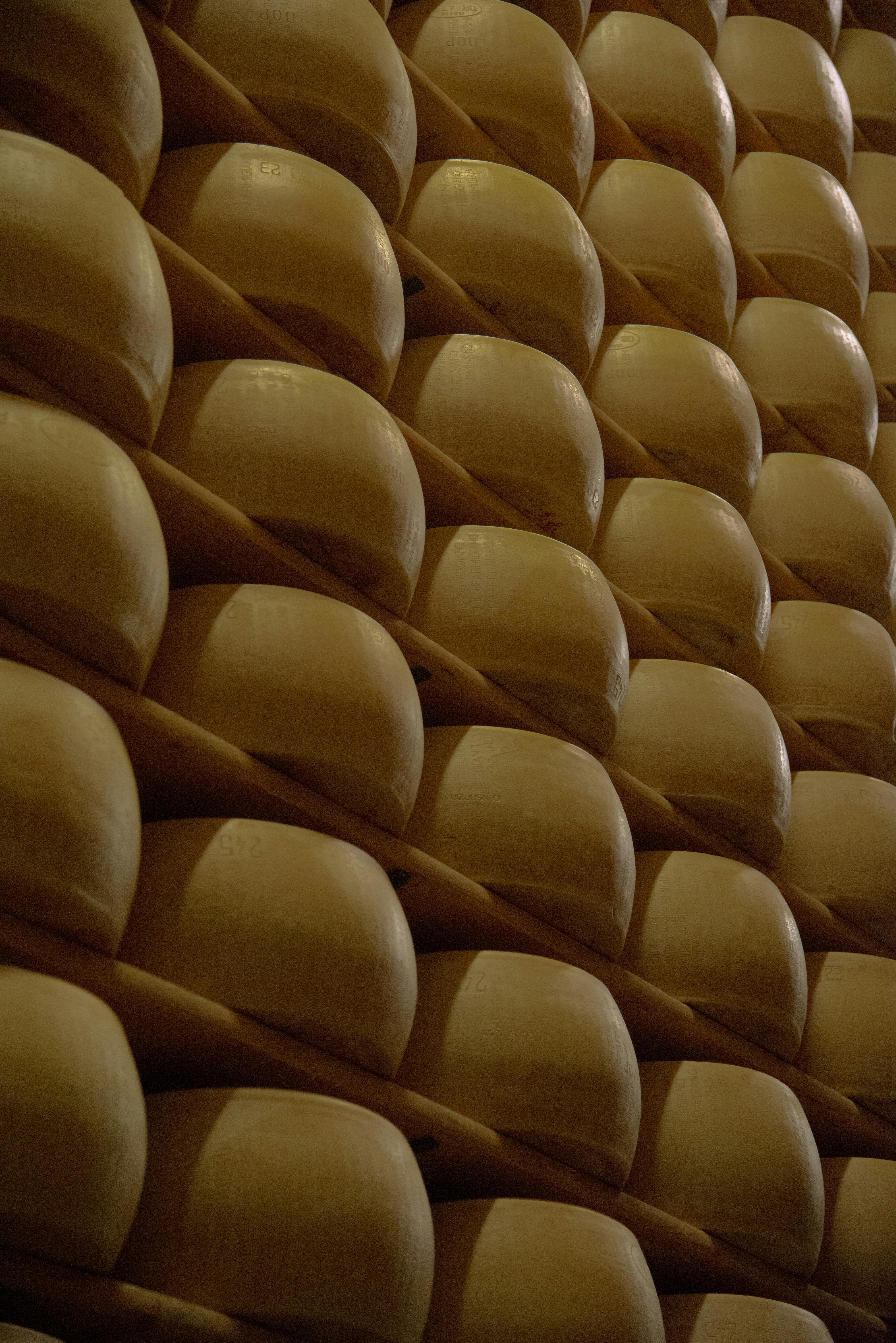 ПХ «Лазаревское» запустило сыры из молока собственных коров