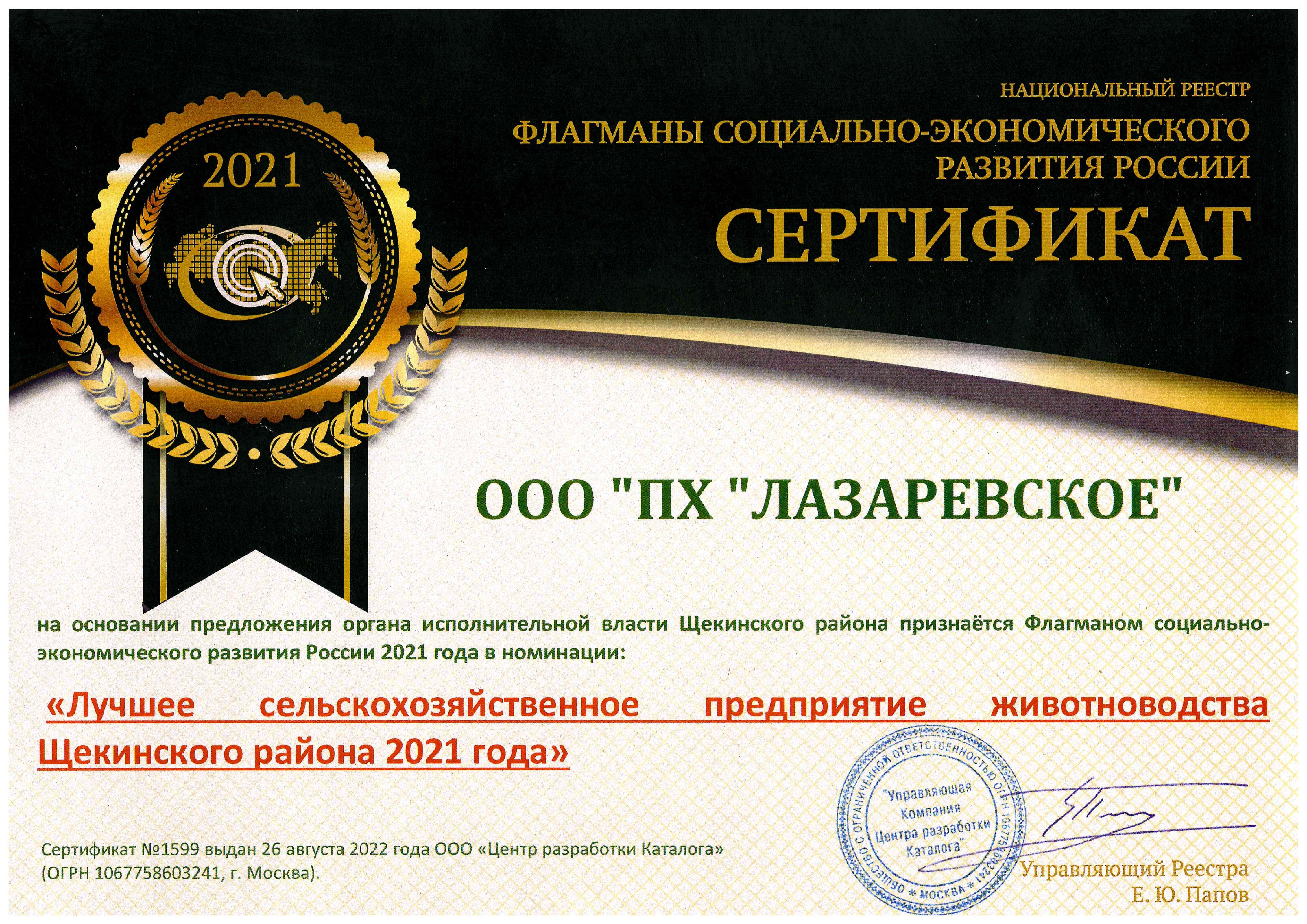 Национальный реестр флагманы социально-экономического развития России. Сертификат. 
